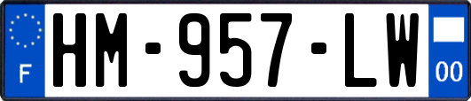 HM-957-LW