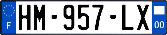HM-957-LX