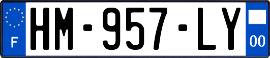 HM-957-LY