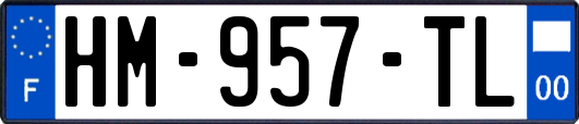 HM-957-TL