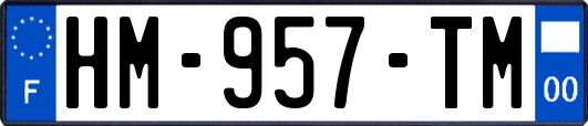 HM-957-TM