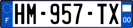 HM-957-TX