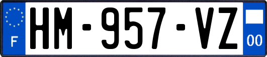 HM-957-VZ