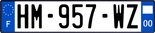HM-957-WZ