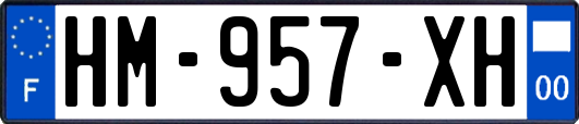 HM-957-XH
