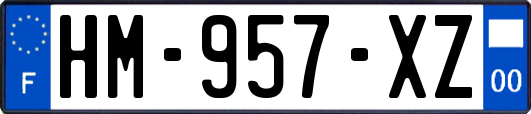 HM-957-XZ