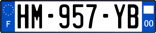HM-957-YB