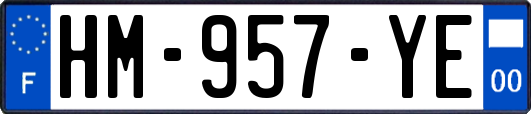 HM-957-YE