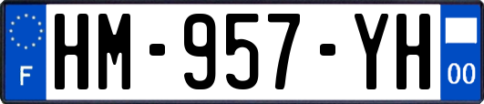 HM-957-YH