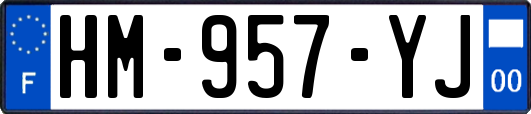 HM-957-YJ