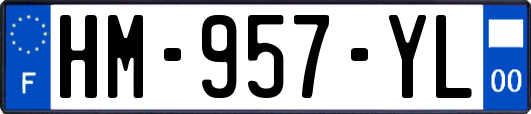 HM-957-YL
