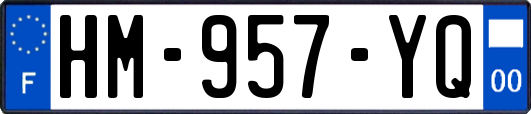 HM-957-YQ
