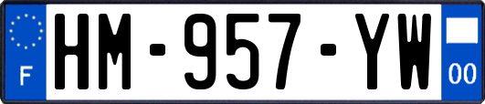 HM-957-YW