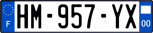 HM-957-YX