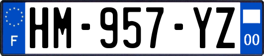 HM-957-YZ