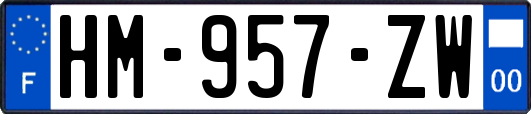 HM-957-ZW