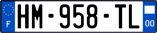 HM-958-TL