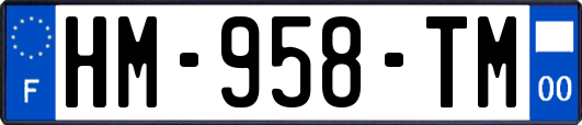 HM-958-TM