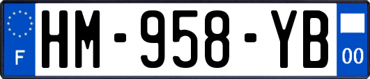 HM-958-YB