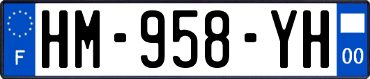 HM-958-YH