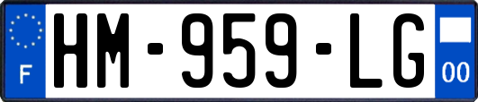 HM-959-LG