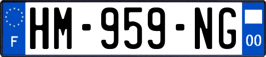 HM-959-NG