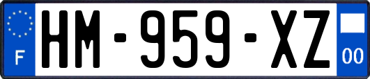 HM-959-XZ