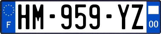 HM-959-YZ