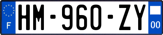 HM-960-ZY