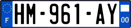 HM-961-AY