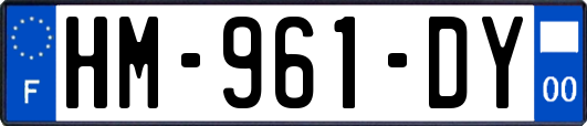HM-961-DY