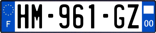 HM-961-GZ