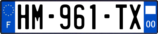 HM-961-TX