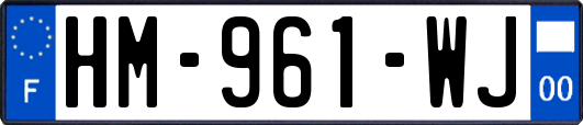 HM-961-WJ