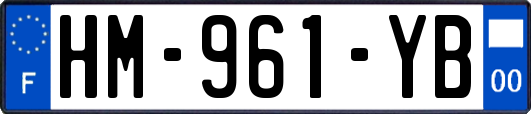 HM-961-YB