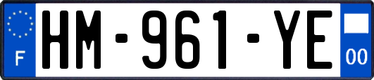 HM-961-YE