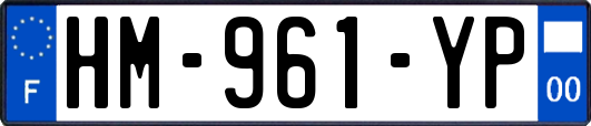 HM-961-YP