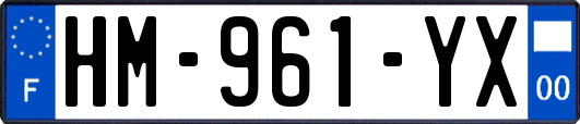 HM-961-YX
