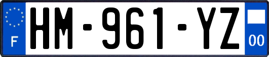 HM-961-YZ