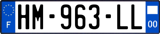 HM-963-LL