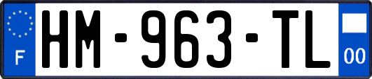 HM-963-TL