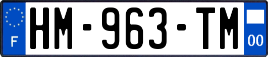 HM-963-TM