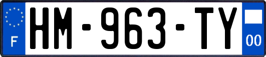 HM-963-TY