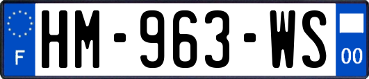HM-963-WS