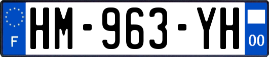 HM-963-YH