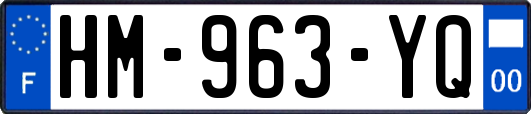 HM-963-YQ