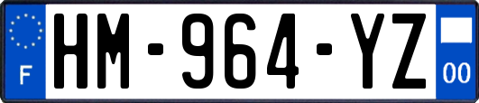 HM-964-YZ