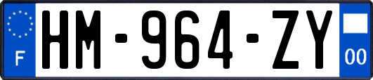 HM-964-ZY