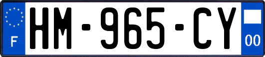 HM-965-CY