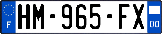 HM-965-FX